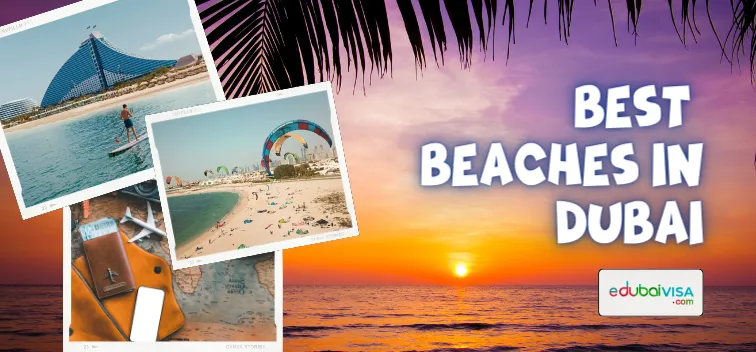 Best Beaches in Dubai: A Guide to Choosing the Perfect Seaside [2024]